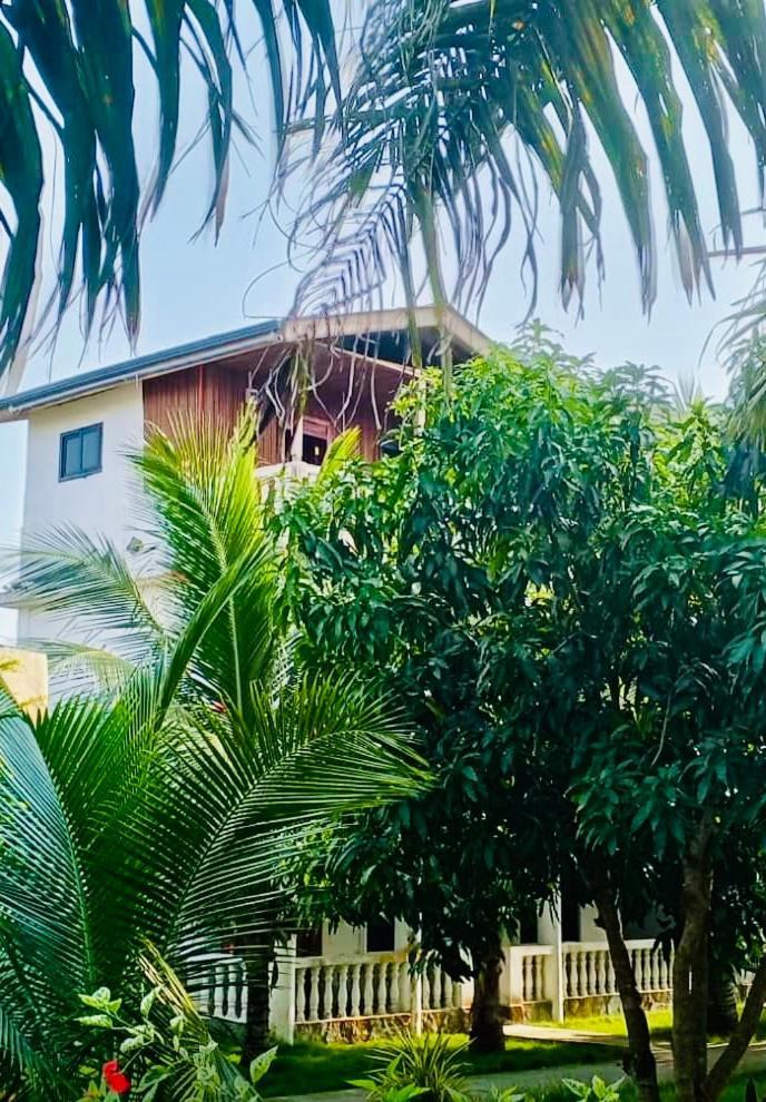 Serenity Haven Lodge Busua Exterior foto